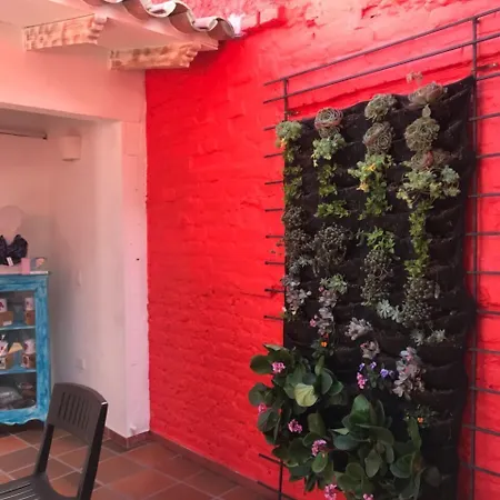 Zana Hotel Boutique-3
